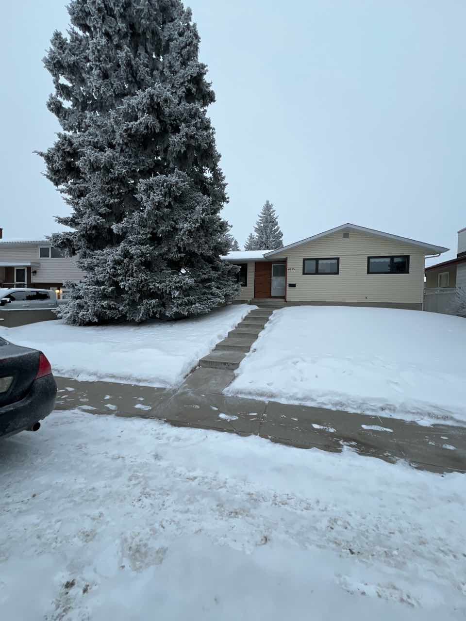 Snow Being Removed In Calgary
